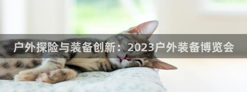 先锋互动娱乐