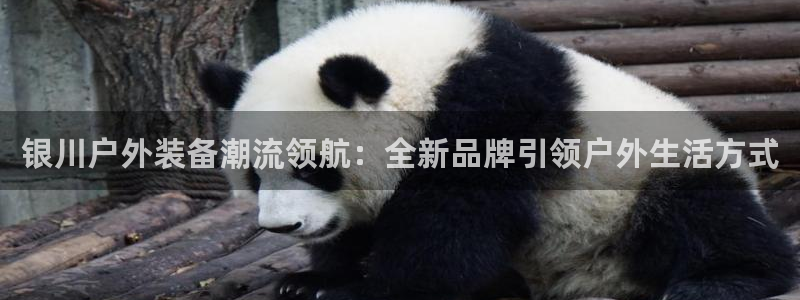 亚洲先锋娱乐登录