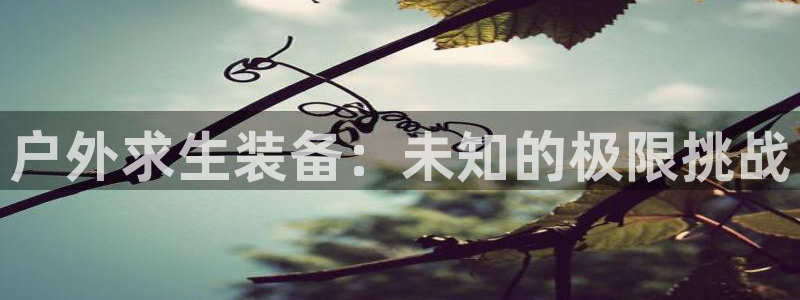 亚洲先锋娱乐跌