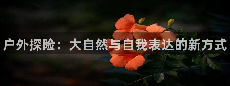 先锋娱乐大厅牛牛
