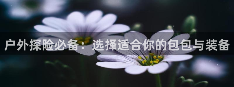 先锋娱乐游戏上分视频