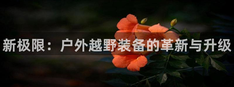 先锋娱乐公司正规吗吗