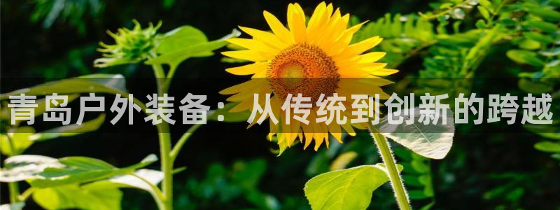 先锋电子车载娱乐系统