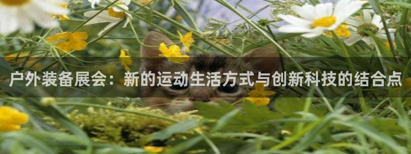 先锋娱乐大厅平台