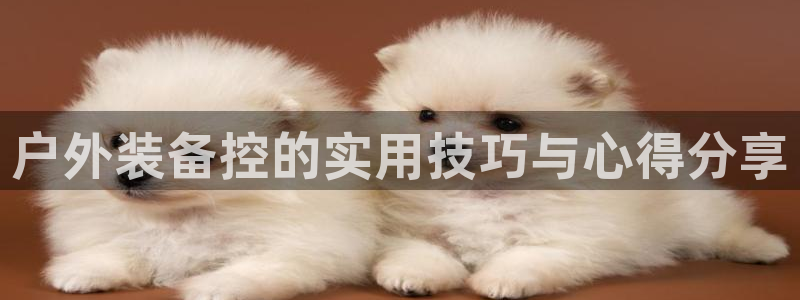 怎么下载先锋娱乐大厅