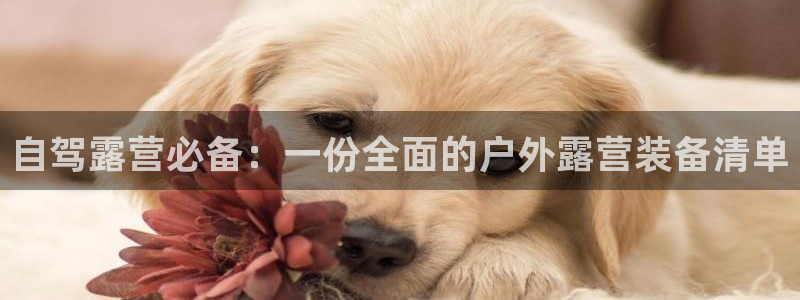 先锋娱乐大厅平台